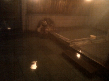 中ノ湯温泉旅館の内風呂